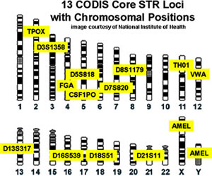 Image Courtesy of NFSTC