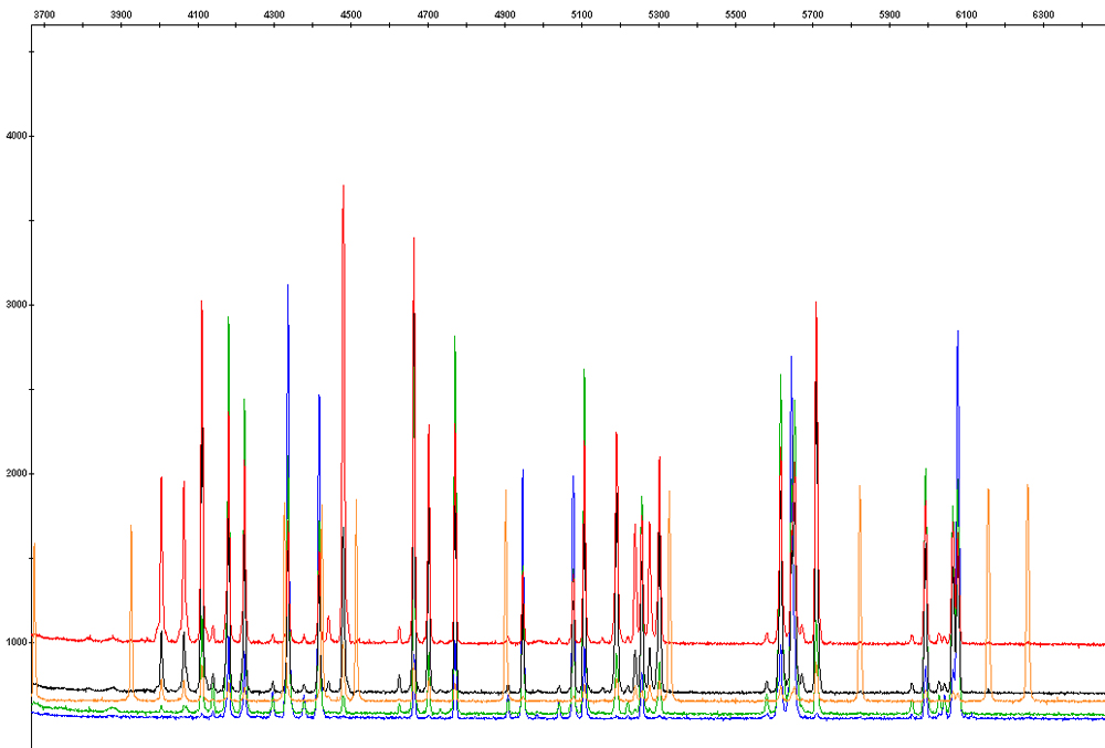 Image Copyright ForSci Associates 2011